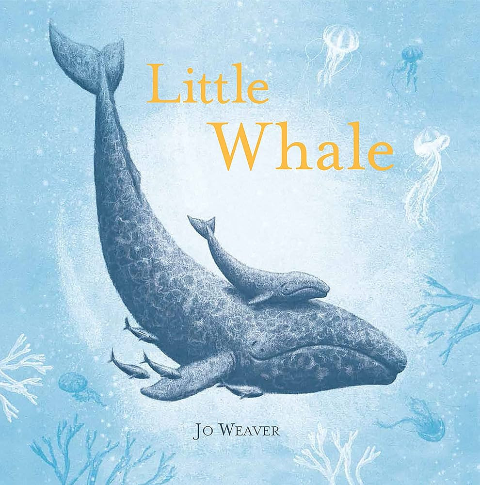 Little Whale | Amazon (US)