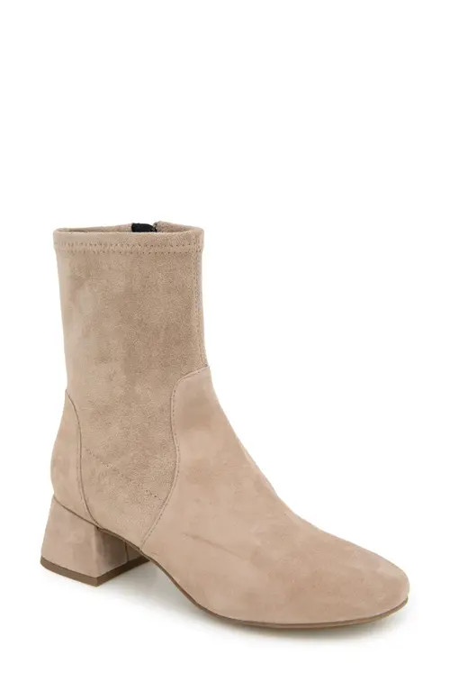 Gentle Souls Elbert Block Heel Bootie in Mushroom Suede at Nordstrom, Size 11 | Nordstrom