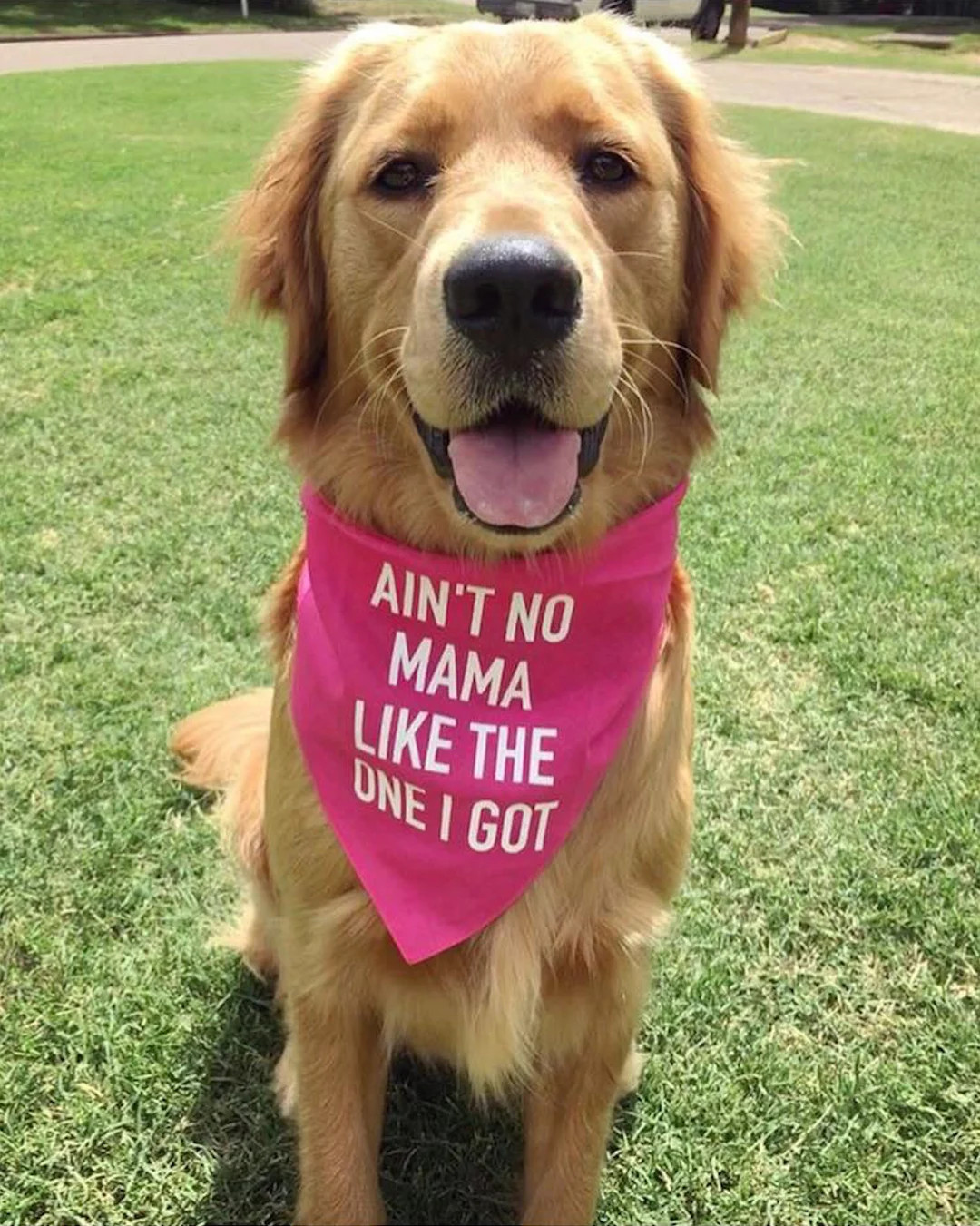Ain't No Mama Like the One I Got Dog Bandana - Mothers Day Dog Bandana - Gift for Dog Mom - Mama ... | Etsy (US)