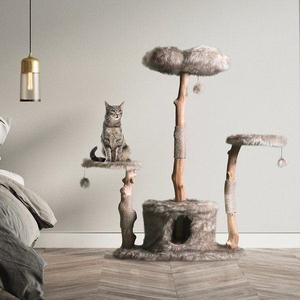 Mau Lifestyle Leone 50-in Modern Wooden Cat Tree & Condo | Chewy.com