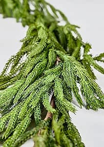 Afloral Real Touch Norfolk Pine Garland - 180" Long | Amazon (US)
