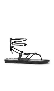 Solei Sea Angie Sandal in Black from Revolve.com | Revolve Clothing (Global)