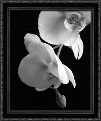 Poinski, Dianne 28x35 Black Ornate Framed Canvas Art Print Titled: White Orchid 2 | Amazon (US)