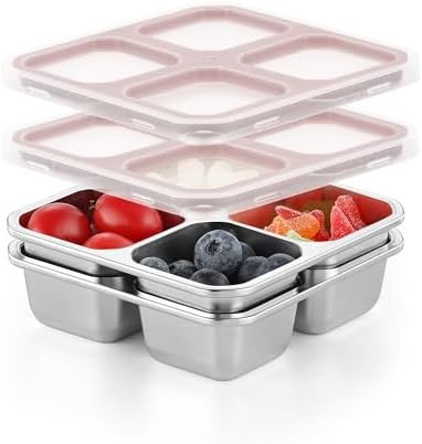BEFOY 4 Pack Stainless Steel Snack Containers with Lids 4 Compartment Food Storage Containers for... | Amazon (US)