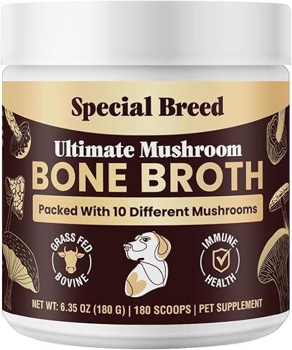 Beef Bone Broth for Dogs - High Protein Powder with Ten Organic Mushrooms & Collagen - Immune, Jo... | Amazon (US)