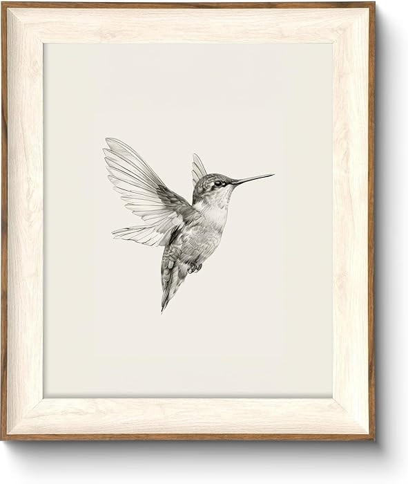 ASTRDECOR Hummingbird Wall Art Prints – Vintage Black and White Bird Sketch Painting Picture, R... | Amazon (CA)