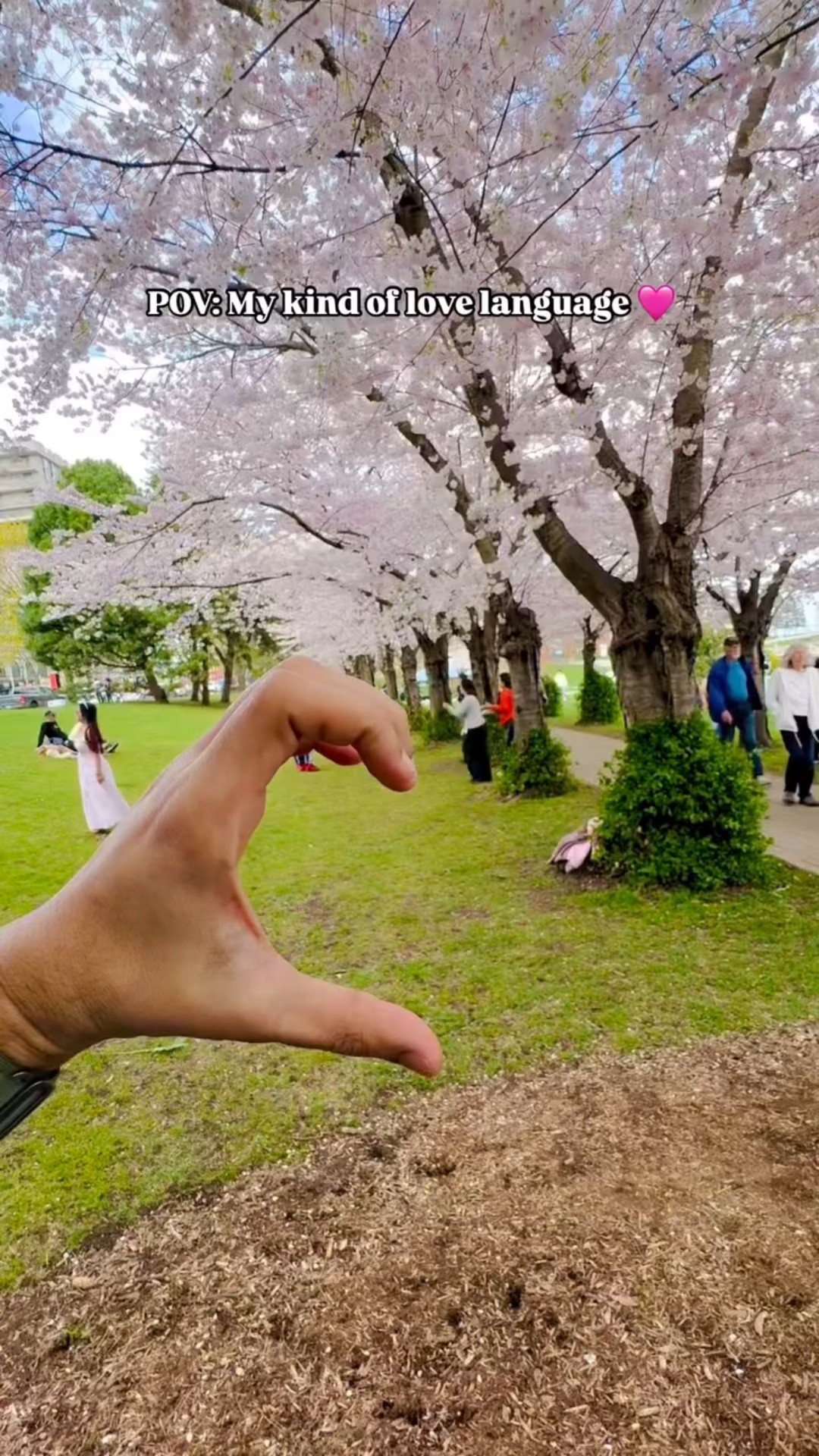 Hearts offered ❤️, angles adjusted 📸. That’s the reel life.