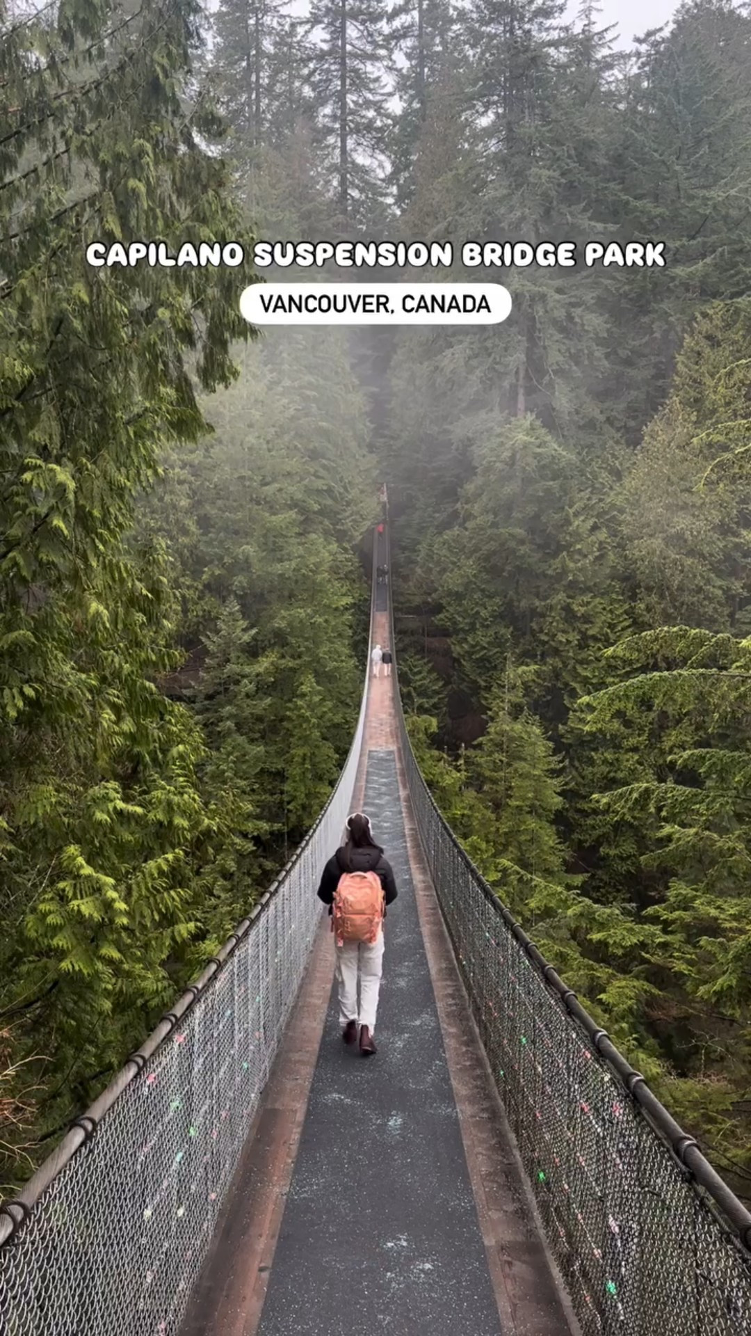 Walking high above the forest floor at Capilano Suspension Bridge Park 🇨🇦🌲 — one of the most breathtaking spots in British Columbia. 450 feet of pure thrill and beauty suspended over the Capilano River. #capilanosuspensionbridge #pnw #vancouvercanada #pacificnorthwest