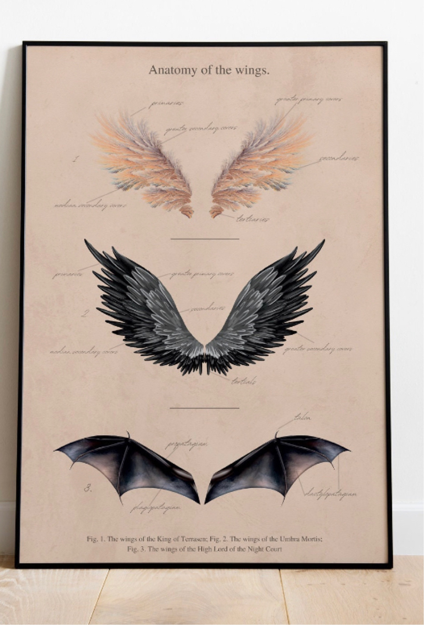 ACOTAR Print 

#LTKHolidaySale #LTKSeasonal #LTKHoliday