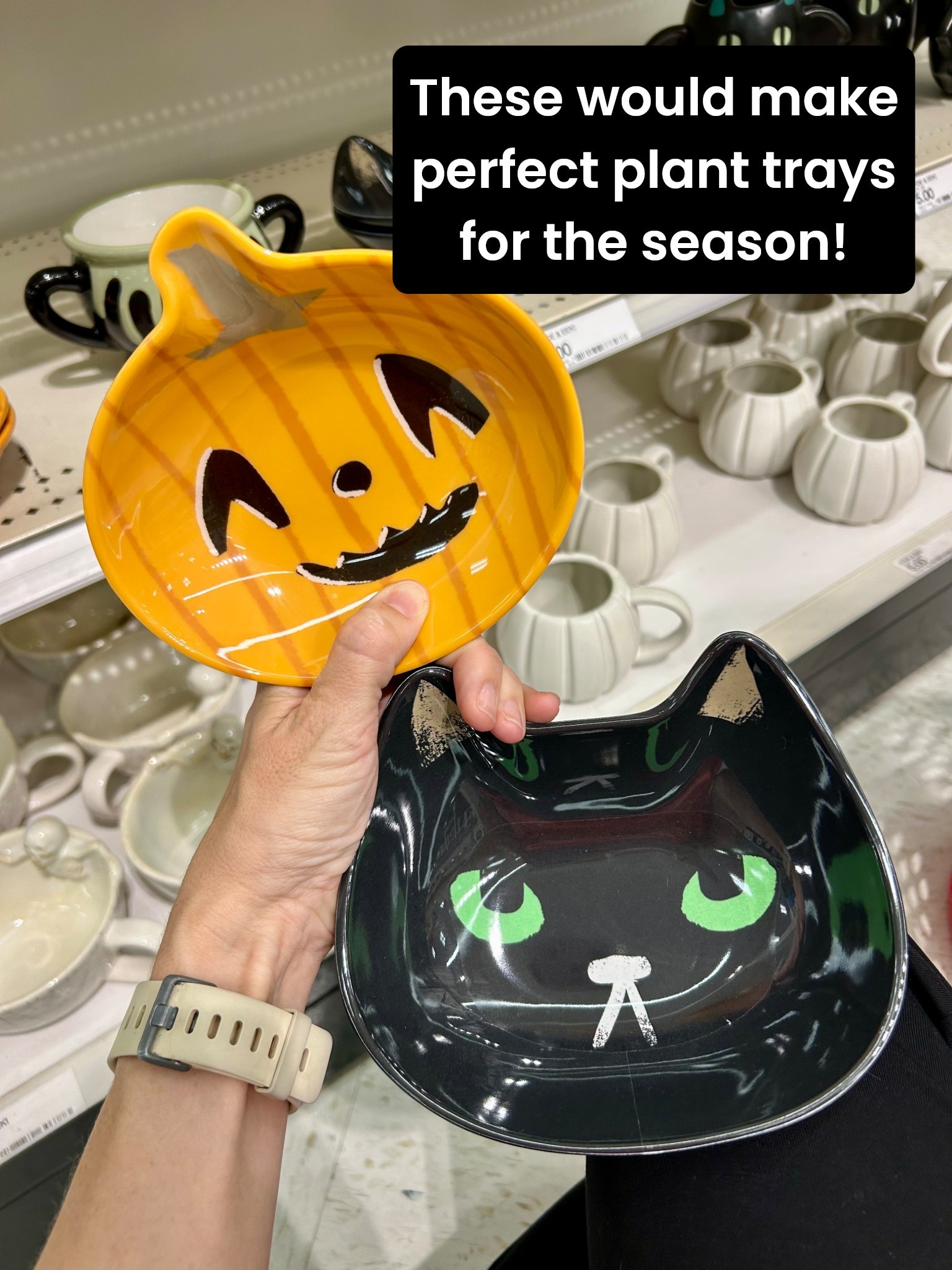 I love using bowls and dishes as plant trays. How darling are these options for the Halloween season?! 🎃🪴

#LTKHome #LTKSeasonal #LTKFindsUnder50