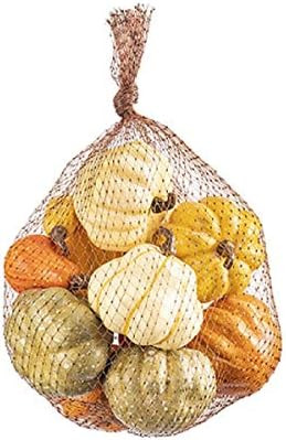 Darice 30108514 Pumpkins in Mesh Bag, Small, Orange and Cream | Amazon (US)