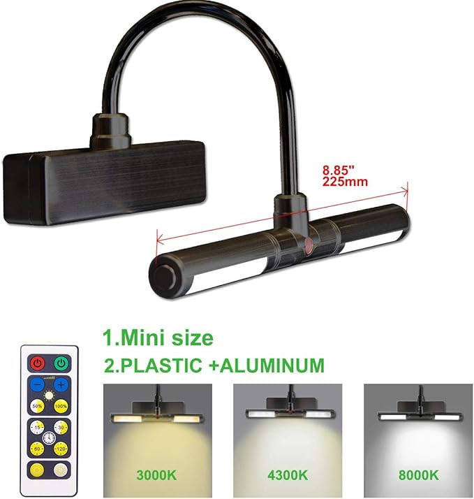 BIGLIGHT Wireless Battery Operated LED Picture Light with Remote, Rotatable Light Heads of 3 Ligh... | Amazon (US)