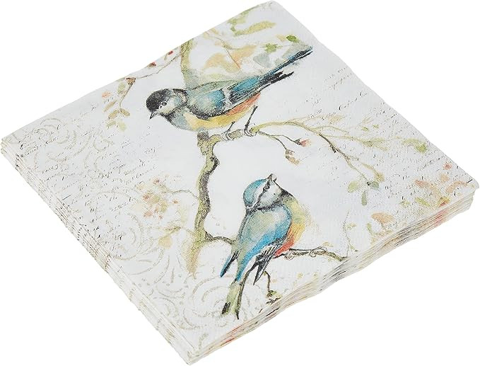 Boston International C811100 IHR Cocktail Beverage Paper Napkins, 5 x 5-Inches, Happy Little Titm... | Amazon (US)