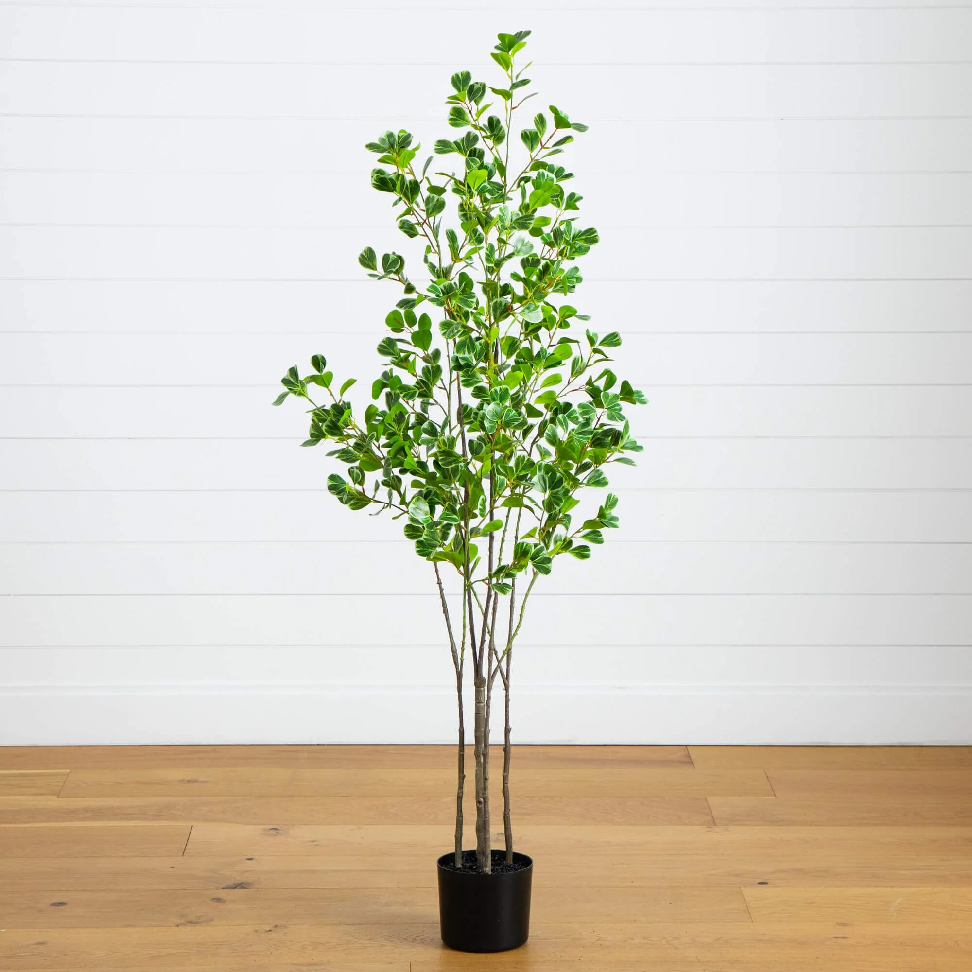 5' Artificial Heart Shaped Ficus Leaf Tree | Nearly Natural