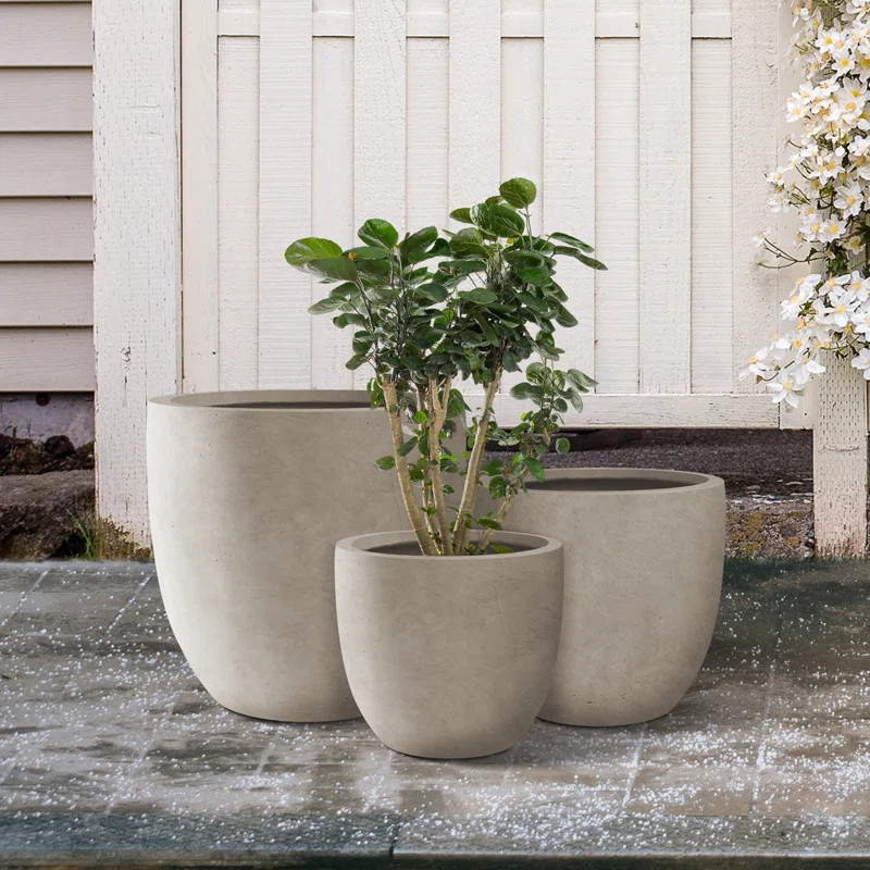 3 - Piece Pot Planter Set (Set of 3) | Wayfair North America