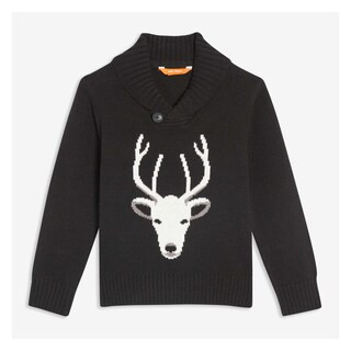 Toddler Boys' Graphic Sweater | Joe Fresh (North America)