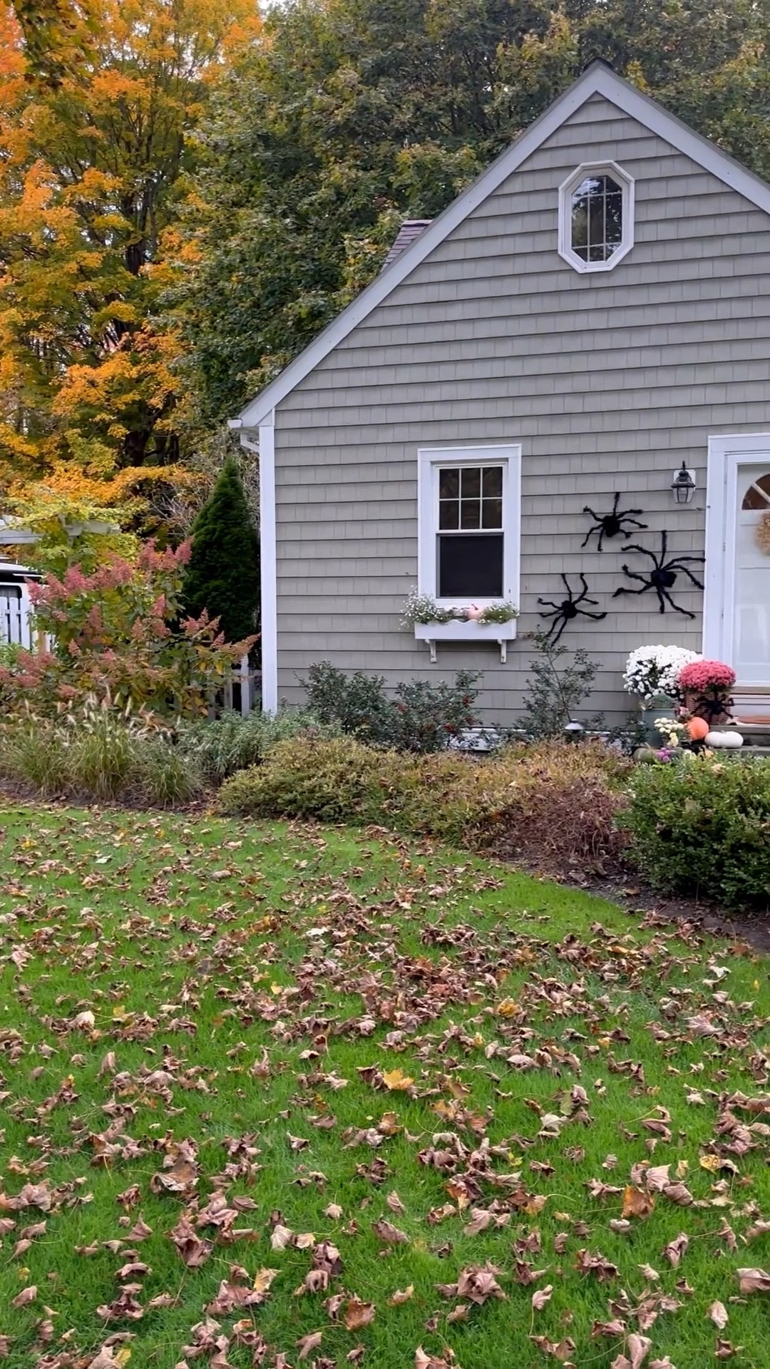 Spooky outdoor spiders to add to your outdoor decor for Halloween. 🕷️

#LTKHome #LTKFindsUnder50 #LTKSeasonal
