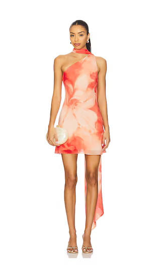 Kima Mini Dress in Orange Floral | Revolve Clothing (Global)