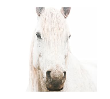White on White Horse Framed Print by Jennifer Meyers | Pottery Barn (US)
