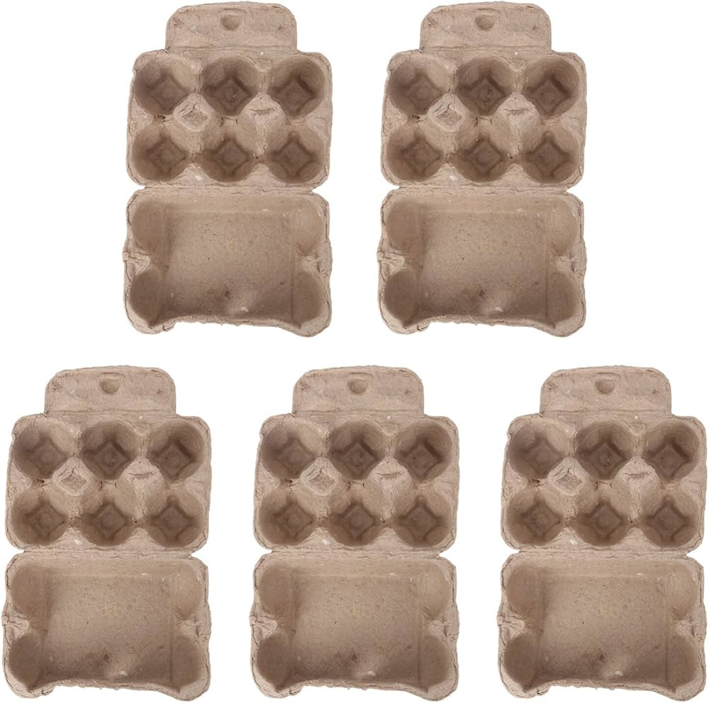 Angoily 5pcs Paper Pulp Egg Carton Chicken Egg Cartons Empty Egg Cartons Egg Carton 6 Cell Egg Ho... | Amazon (US)