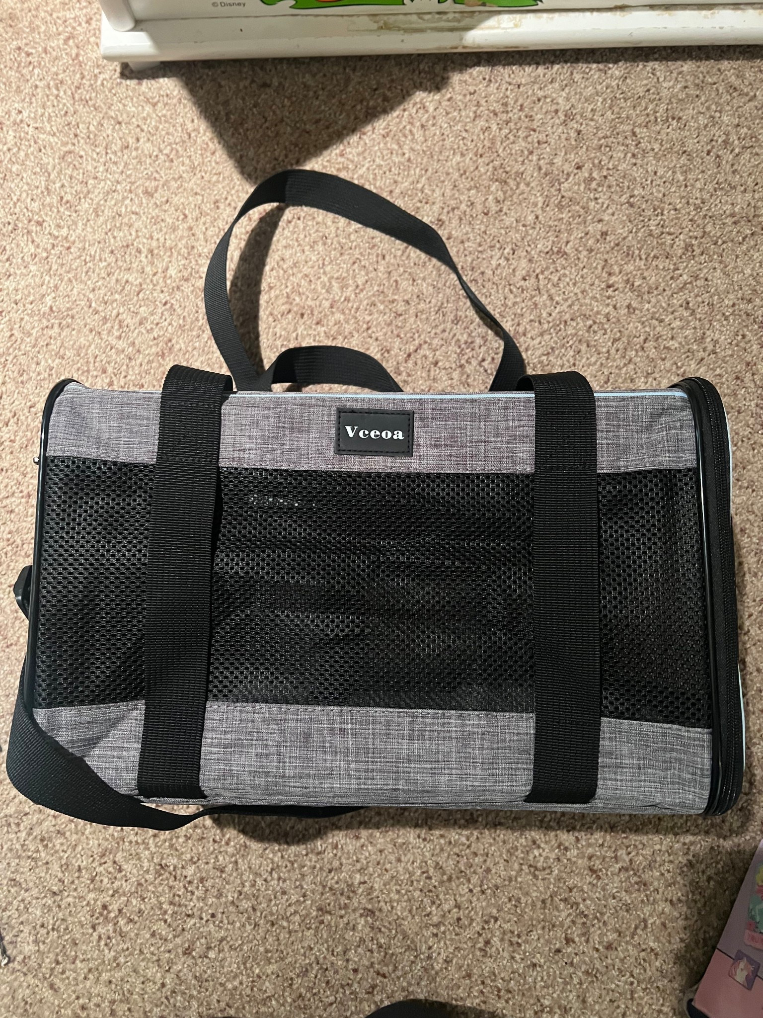 Cat carrier
Pets
Small dogs
Amazon 
Deal 
Travel 
Deal 
Gift guide
Family

#LTKTravel #LTKHoliday #LTKFindsUnder100