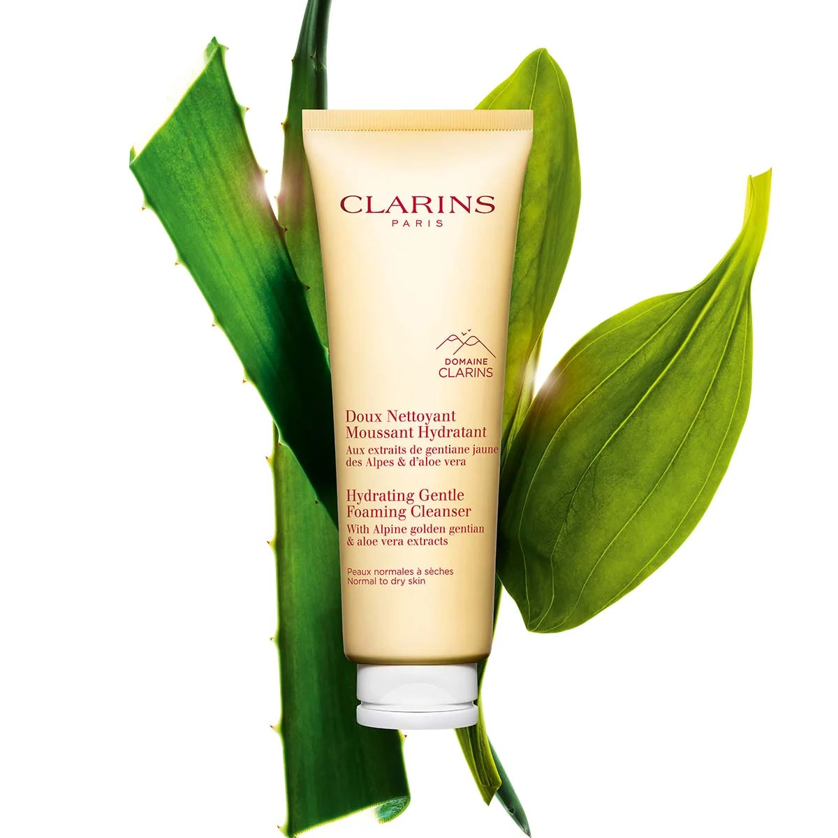Hydrating Gentle Foaming Face Cleanser for Normal to Dry Skin | Clarins USA