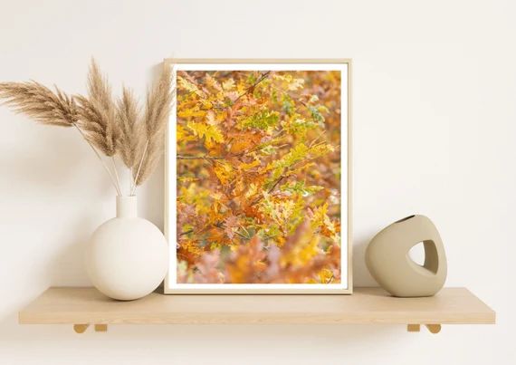 Autumn Leaves Fall Print  Colourful Fine Art Photography - Etsy UK | Etsy (UK)