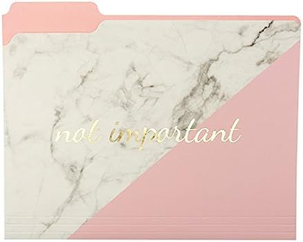 Graphique Blush Marble File Folder Set – File Set Includes 9 Folders and 3 Unique "Important" D... | Amazon (US)