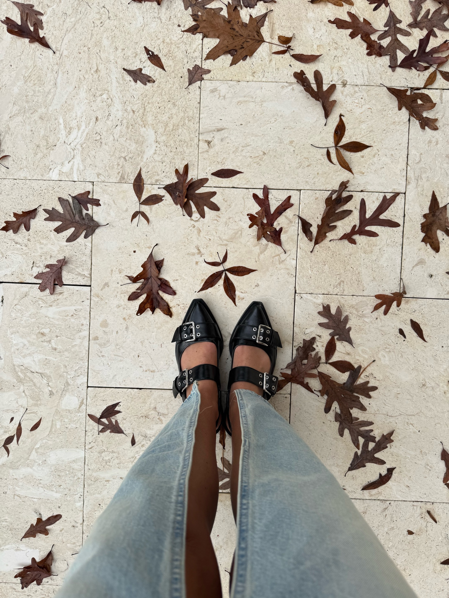 Fall y’all but it’s 80 degrees and humid

#LTKSeasonal #LTKshoecrush #LTKfindsunder50