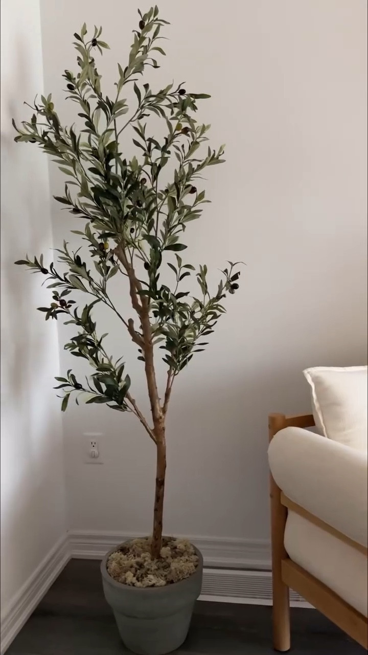 prettiest little corner ✨

#olivetree #amazonfind #boringcornertransformation