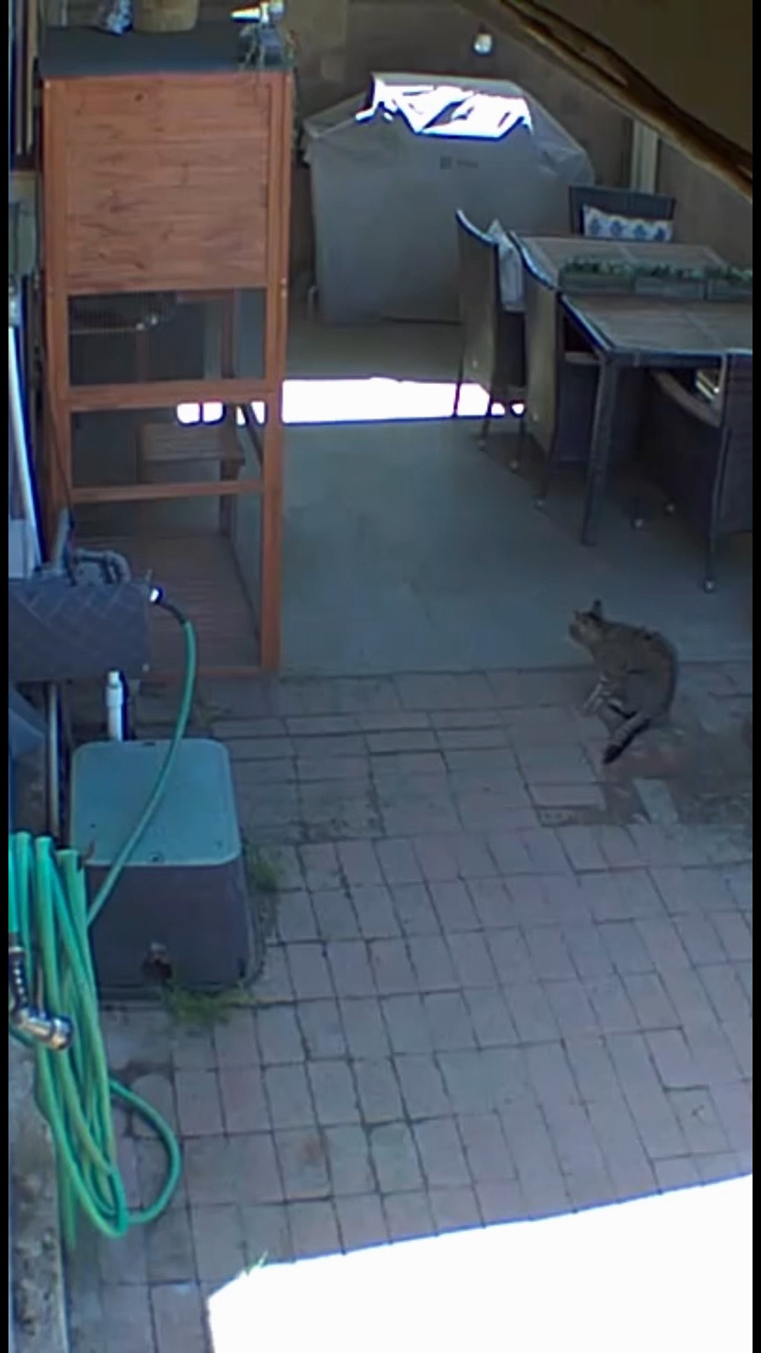 I’m either relieved it has fur or disappointed it’s not a package 😅

#LTKdayinmylife #LTKstorytime #LTKHome