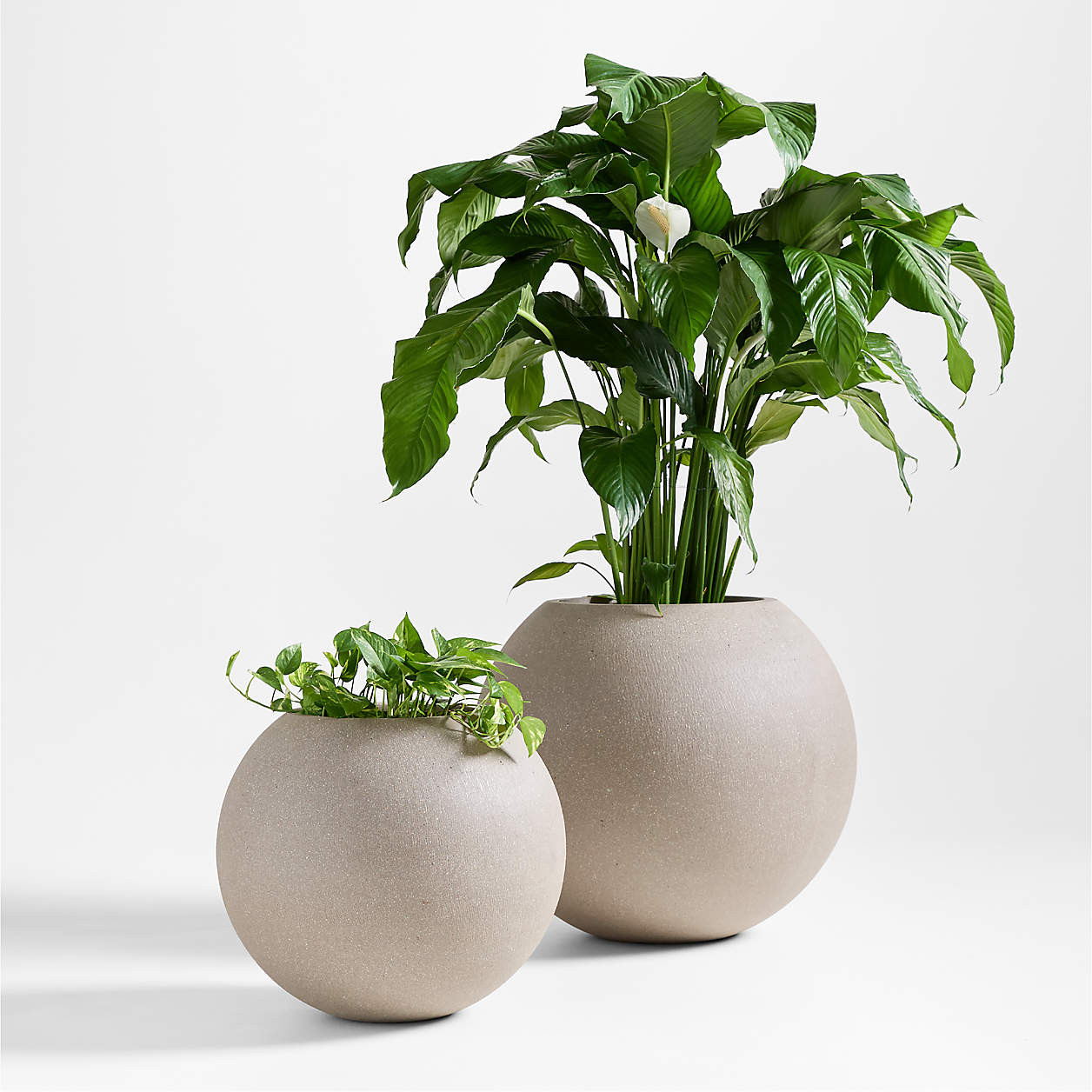 Sphere Large White Indoor/Outdoor Planter 26" + Reviews | Crate & Barrel | Crate & Barrel
