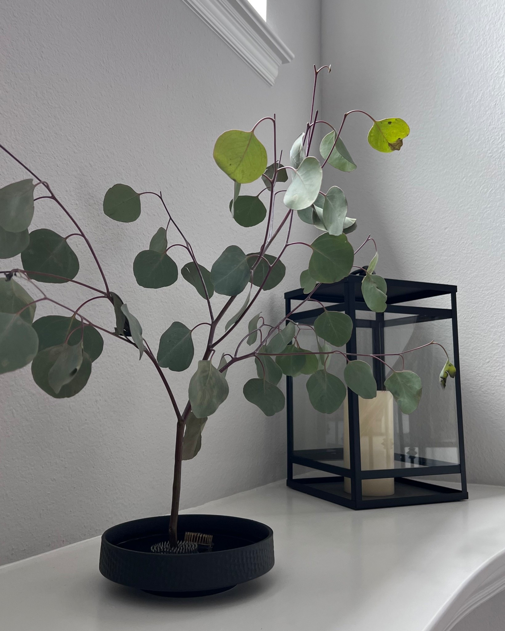 With just a little bit of eucalyptus, you can easily make a very simple and modern display.

#LTKGiftGuide #LTKHome