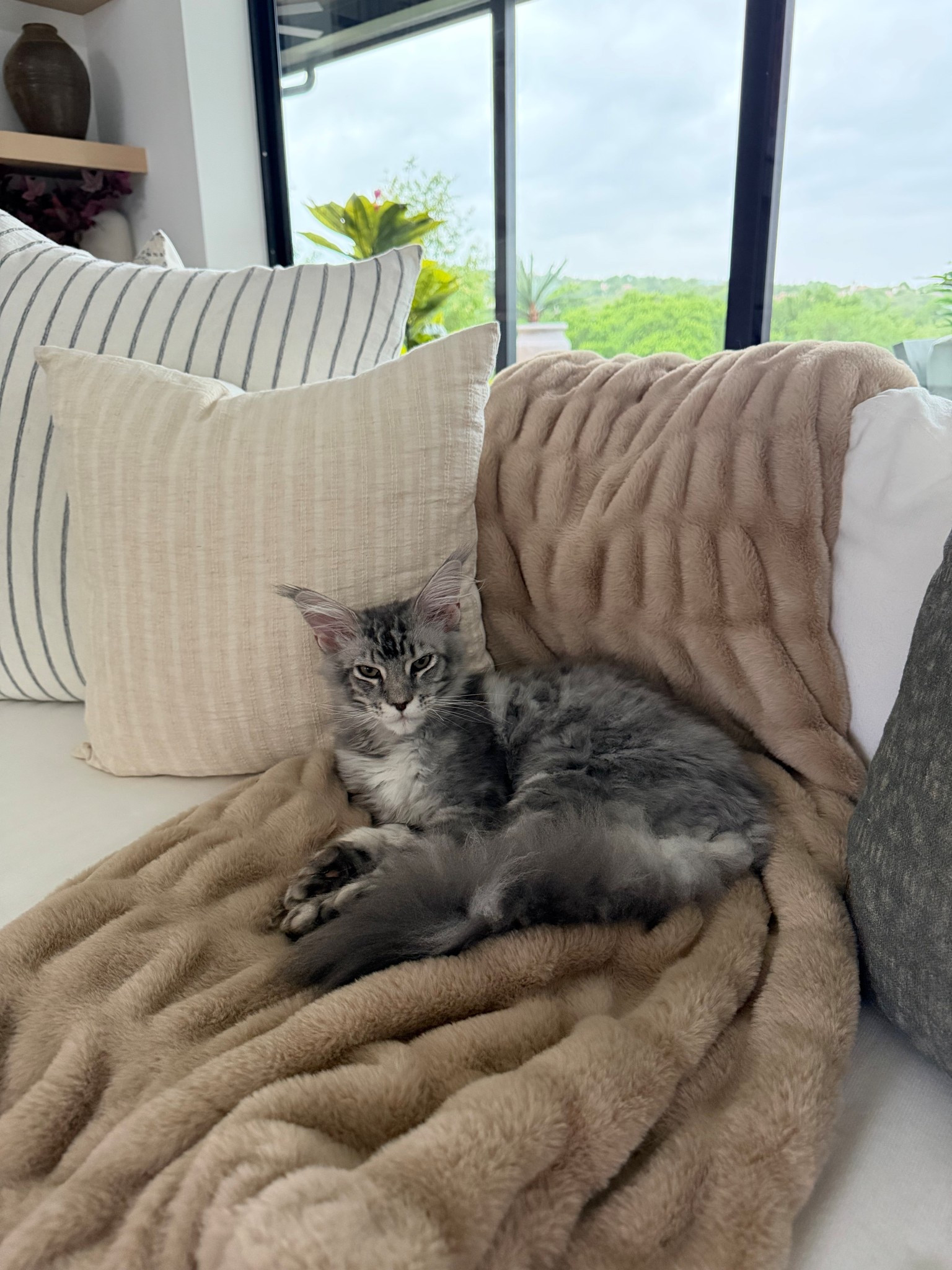 The best blankets ever are 50% off! Use code ASHLEE50 at  Lola blankets
￼

#LTKMothersDay