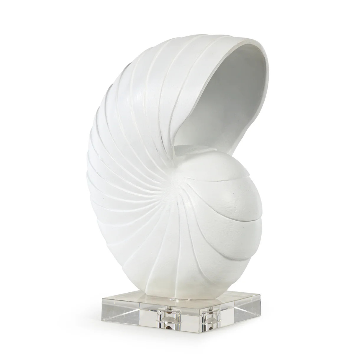 Nautilus Shell Large (White) | Wayfair North America