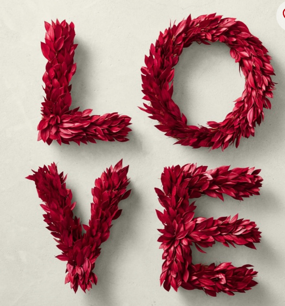 #ValentinesDayLoveWreath #ValentinesDay #LoveWreath #Valentinesdecor #LovewordWreath #lovewallart #valentines #letterwreath #williamssonomahome 

#LTKhome #LTKFind #LTKSeasonal