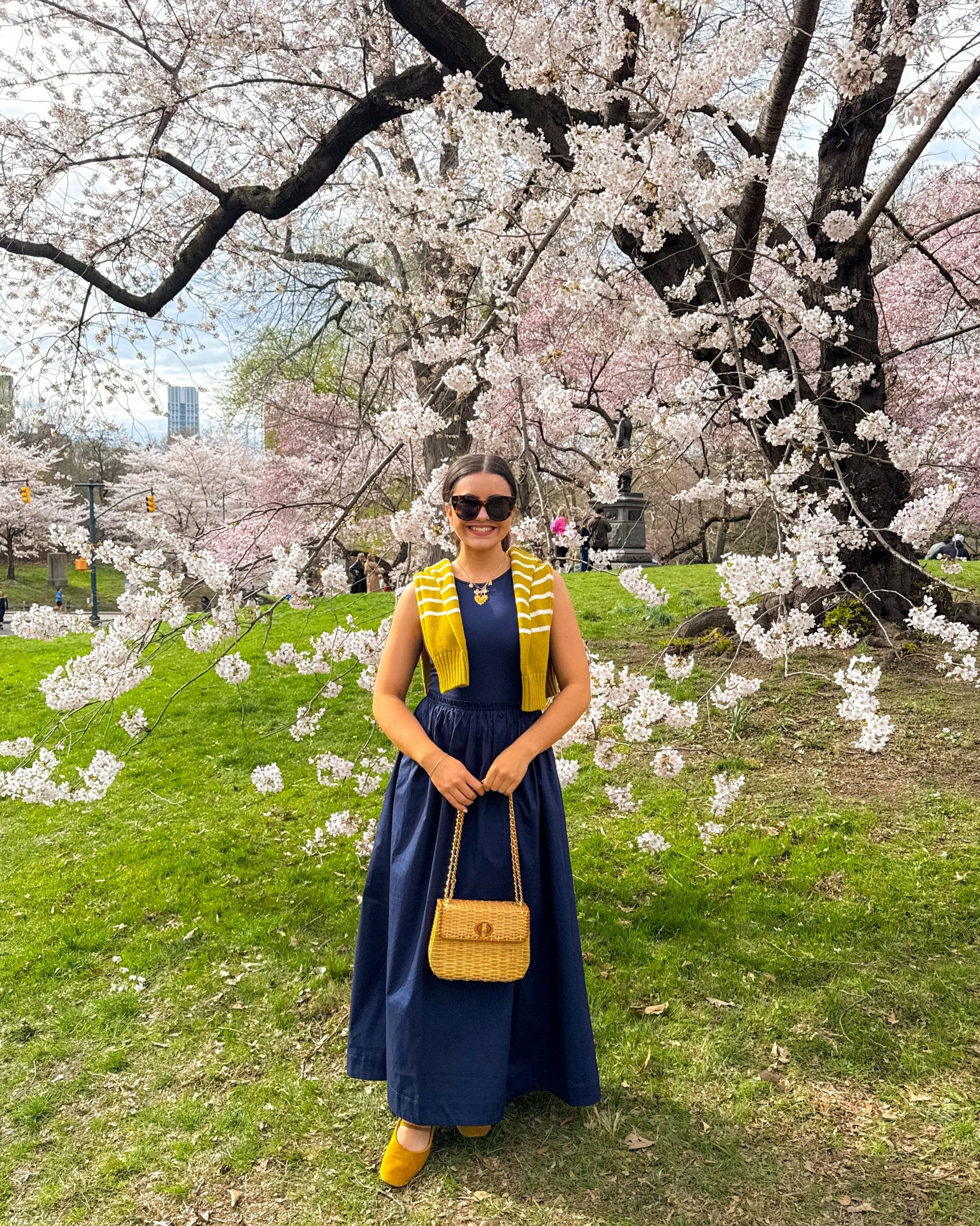 Spring in Central Park 🌸