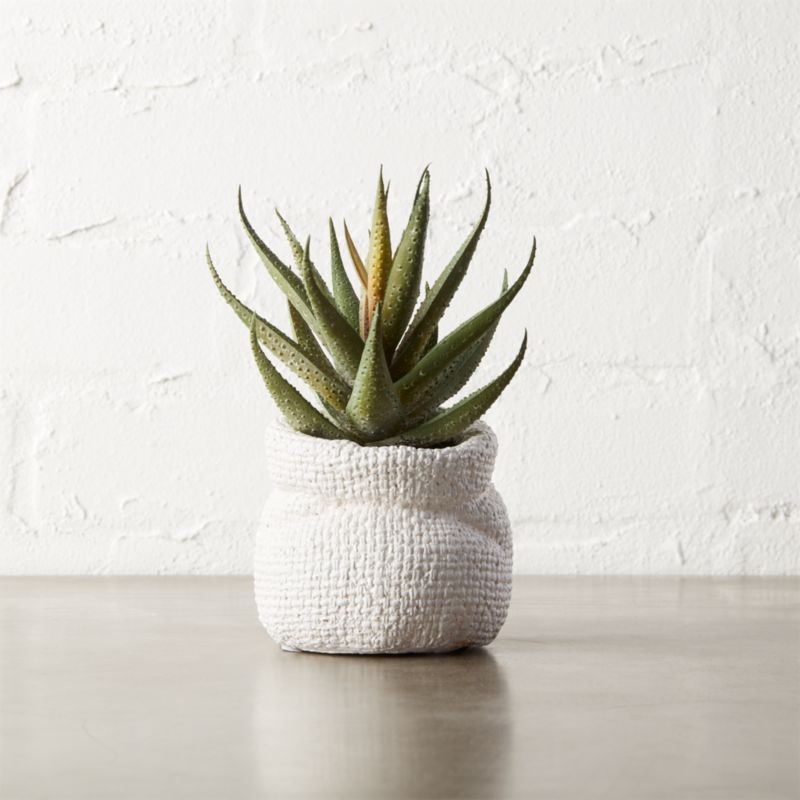 6" Small Faux Aloe Plant + Reviews | CB2 | CB2