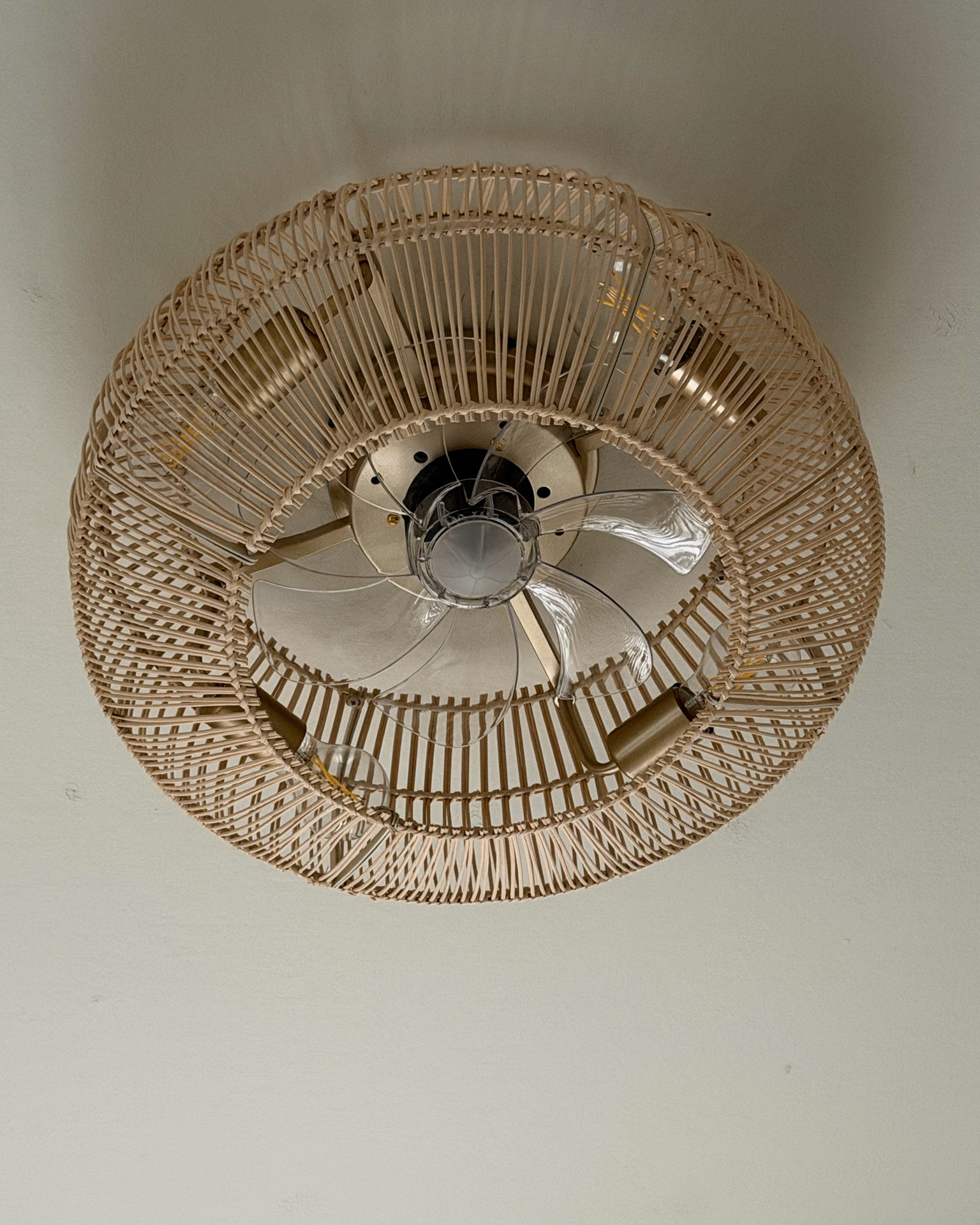 This 20” boho ceiling fan is such a beautiful way to bring in that coastal decor look. 🤍

The bamboo wicker shade and gold finish give it the feel of a chic rattan light fixture, while the remote-controlled fan adds easy functionality. 

It’s a lovely way to bring warmth and texture to a bedroom or living room without overwhelming the space.
A gorgeous statement piece that feels airy, elevated, and effortlessly cozy.

#LTKHome
