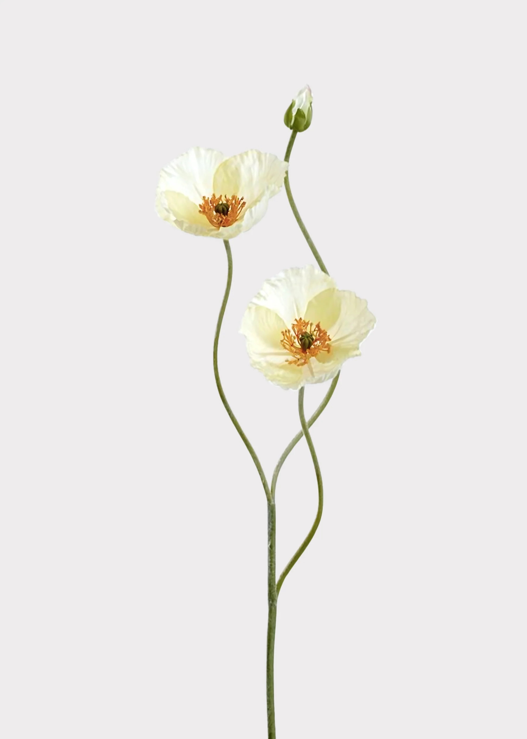 Artificial Poppy Stem in White | Realistic Faux Botanicals | Afloral | Afloral