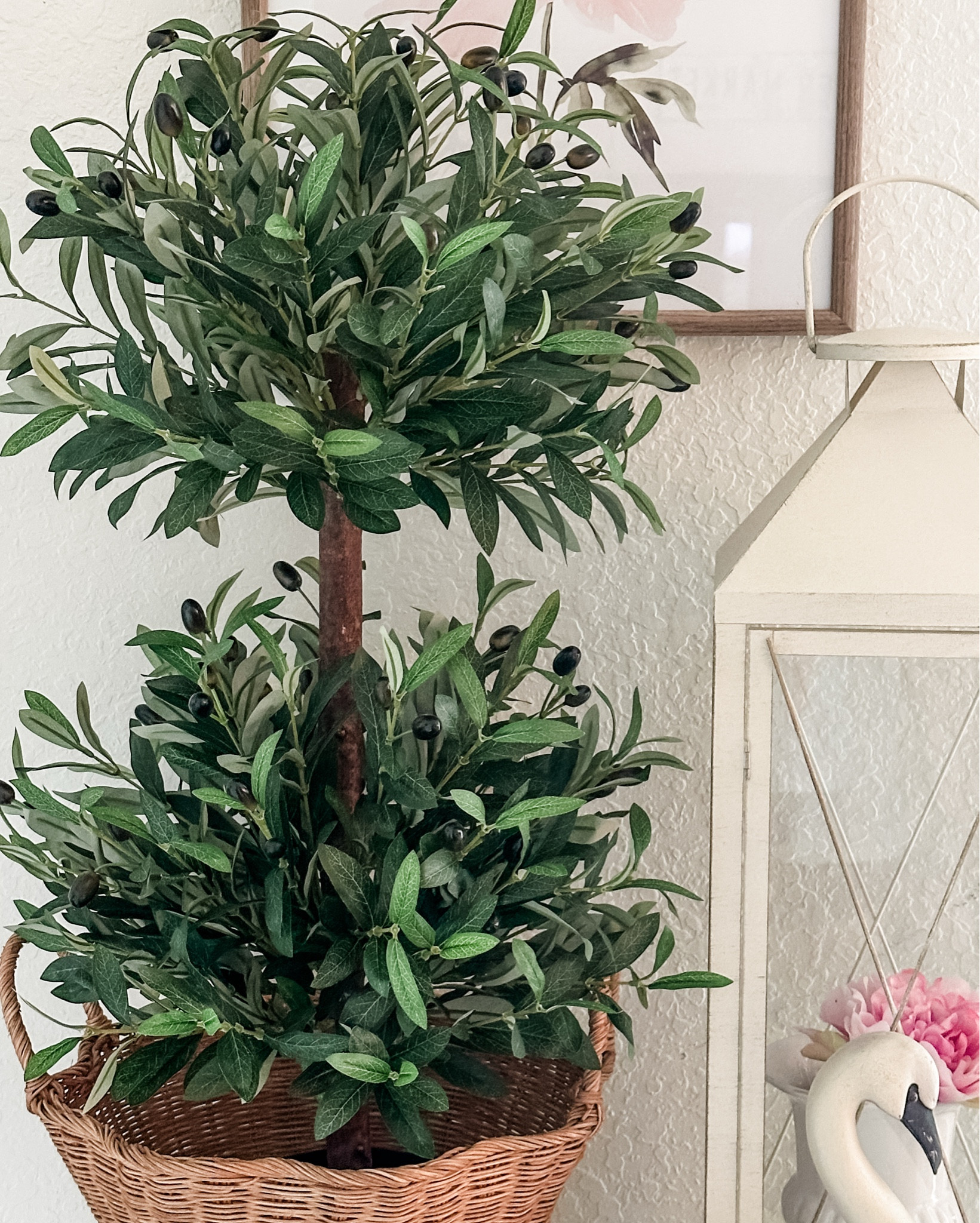 Olive tree topiary 

#LTKSaleAlert #LTKActive #LTKHome