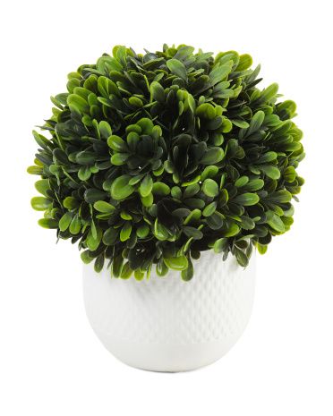 Topiary Ball In Planter | TJ Maxx