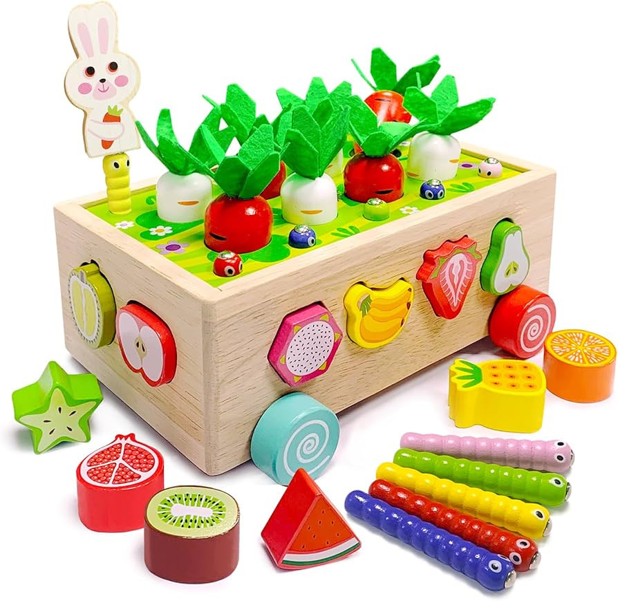 Montessori Toys for Toddlers 1+ Years,Shape Sorter Toys for Toddlers 1-3,Toys for 1 2 3 Year Old ... | Amazon (US)