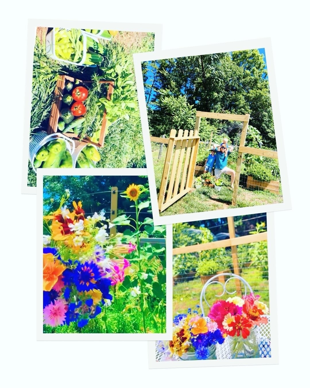 Summer 🌞 garden🪴 harvest 🧺 joy 🤩 and blooms 💐 upon blooms 🌼 out here in the farm garden 🪏 just in time for the summer solstice ☀️ and first *official* day of sweet summertime 💖 yesterday!! 🌻🌱🌾🍅 Our hearts 🥰 and garden 🪏 out here on the farm 🚜 overflow!! ✨ Thank you, Lord!! 🥒🌿🫑🫘🫛 #summergarden #summersolstice #officiallysummertime #gardenharvest #flowergarden