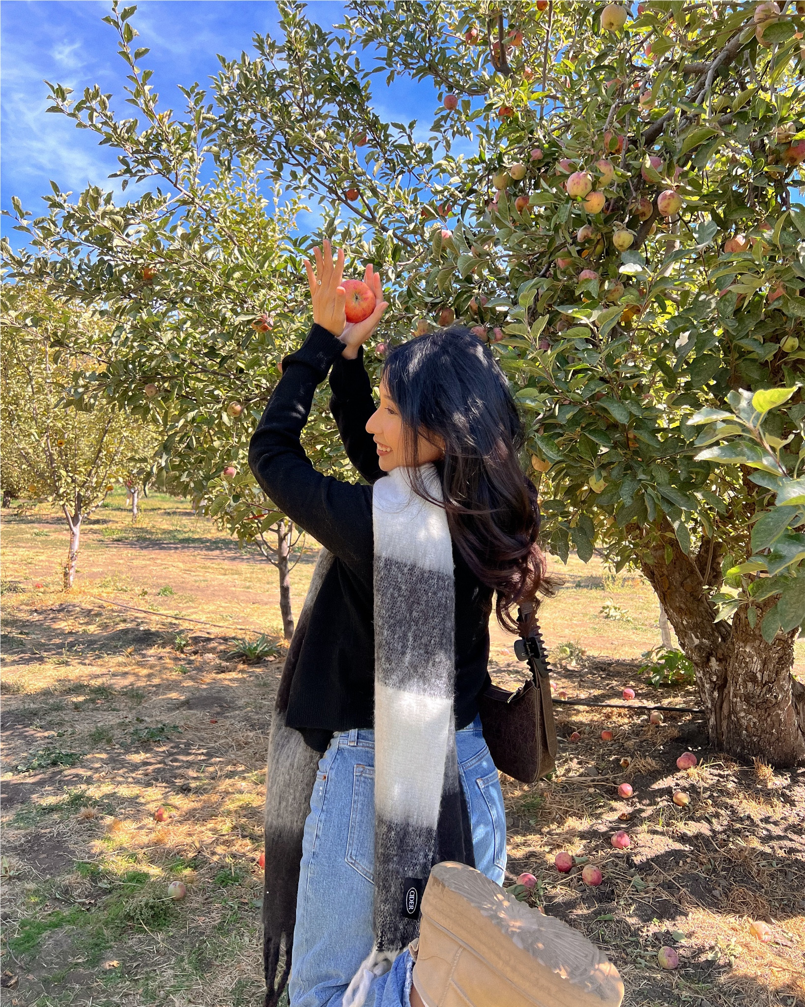 Fall apple picking chunky sweater cozy fit! 

#LTKFindsUnder100 #LTKSeasonal #LTKStyleTip