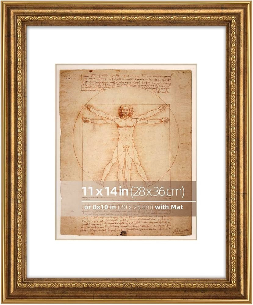 WYNCO 11x14 in Rustic Gold Curved Scrollwork Motif Embossed Ornate Classic Picture Frame, Matted ... | Amazon (CA)