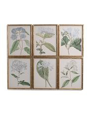 Set Of 6 14x18 Flowers Wall Art | TJ Maxx