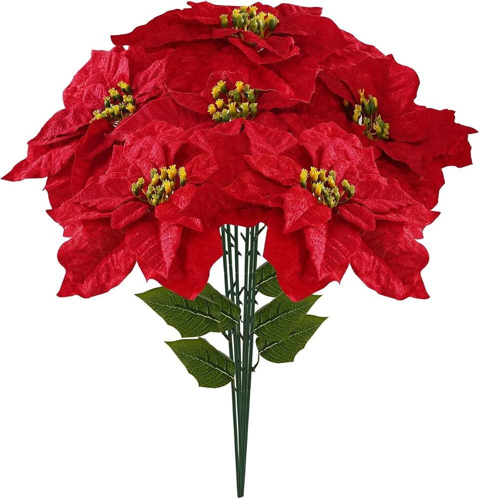 Red | Amazon (US)