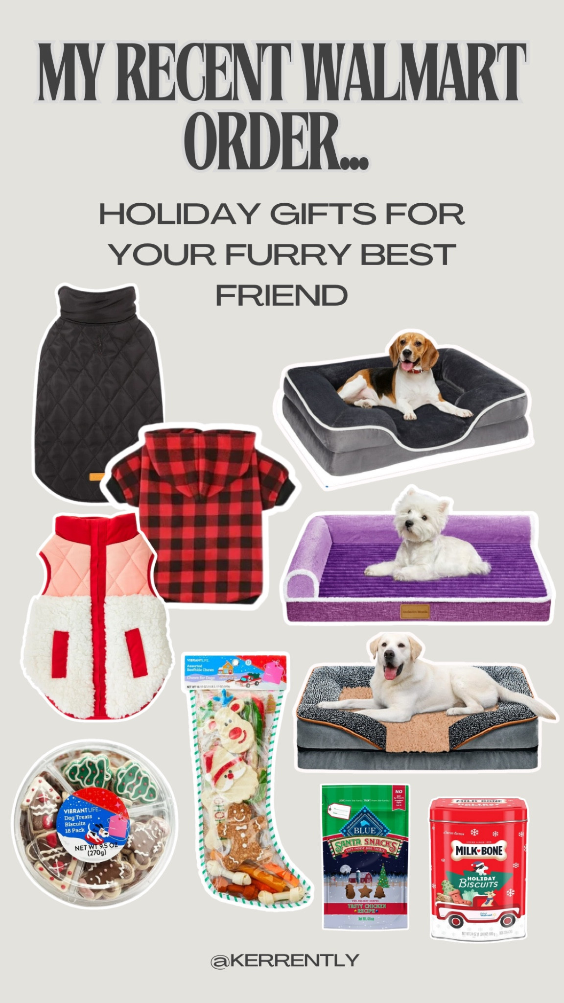 @walmart has tons of last minute gift options for your pup! 🐶 🎁 #WalmartPartner 

#LTKGiftGuide #LTKSeasonal #LTKHoliday