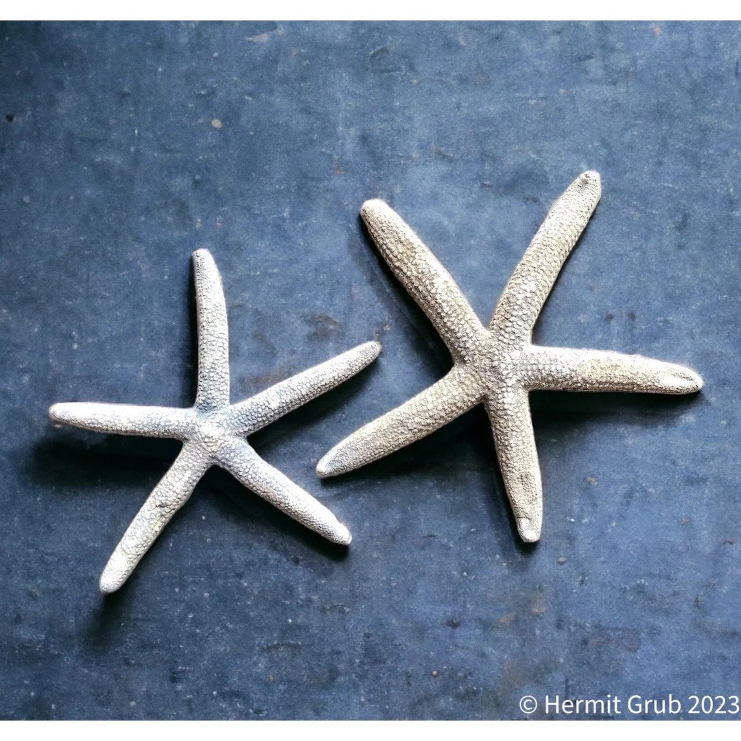 Low in stock, only 1 left | Etsy (US)